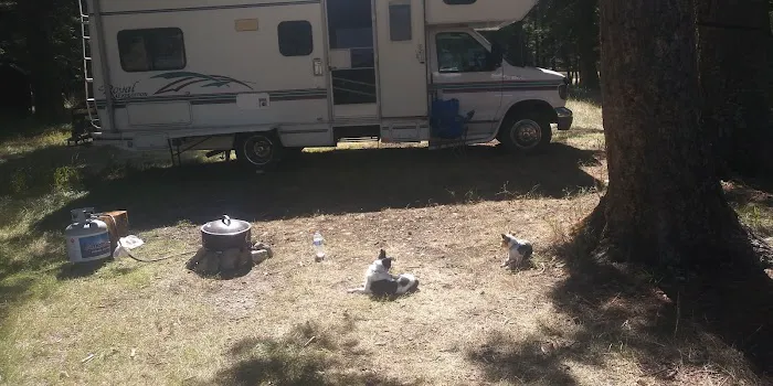 Timber Cr Dispersed Campground Picture 5