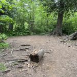 Manitou Backpack Campsite #20