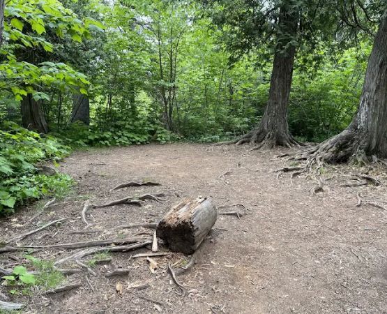 Manitou Backpack Campsite #20