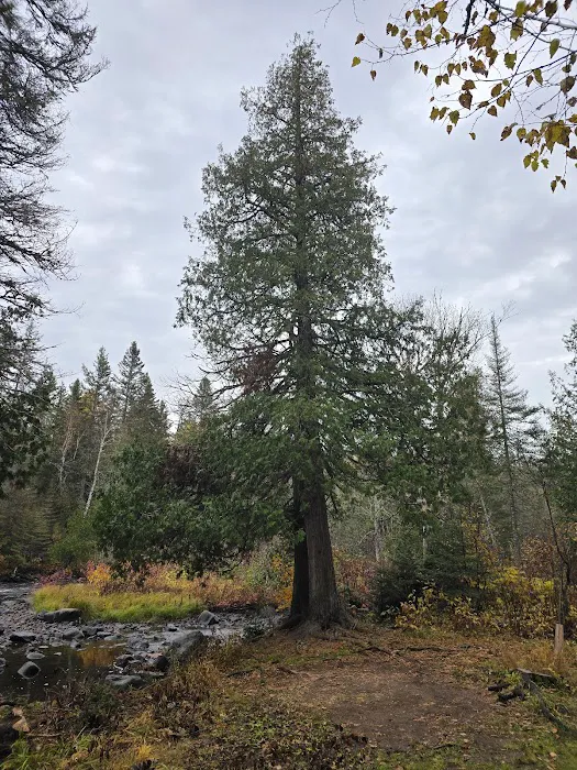 Manitou Backpack Campsite #3 Picture 1