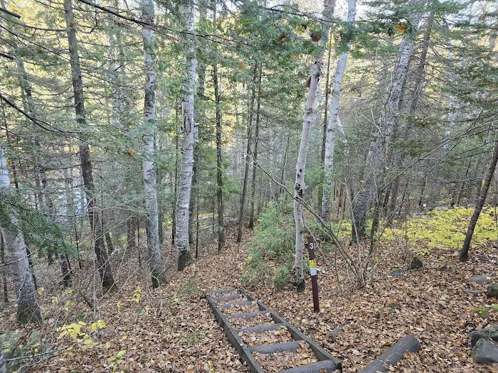 Manitou Backpack Campsite #3 Picture 5