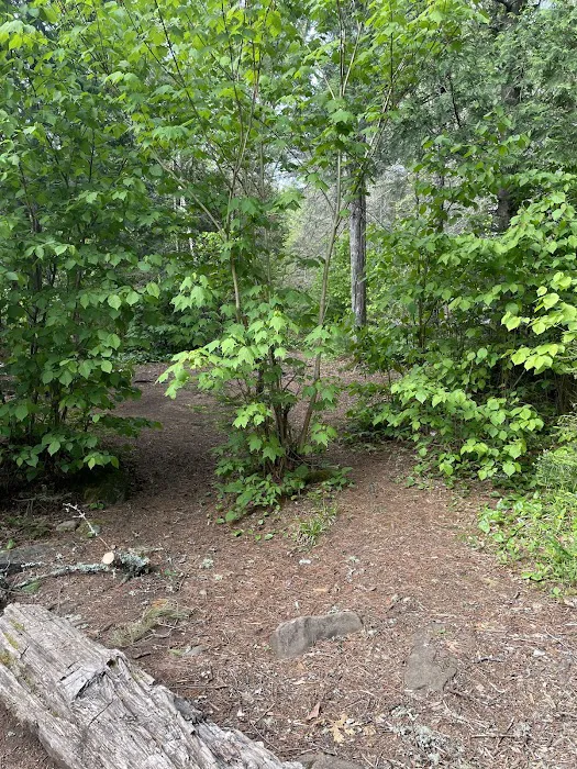 Manitou Backpack Campsite #4 Picture 2