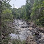 Manitou Backpack Campsite #7