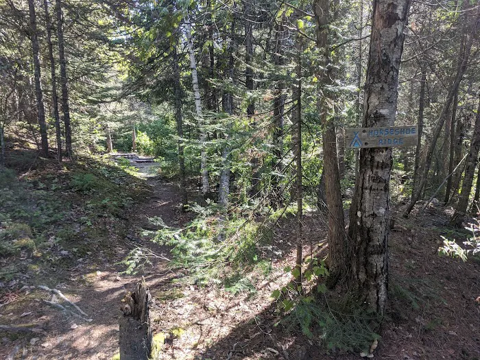 Horseshoe Ridge Camp Picture 1