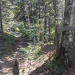 Horseshoe Ridge Camp