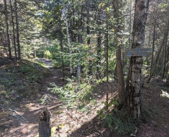 Horseshoe Ridge Camp