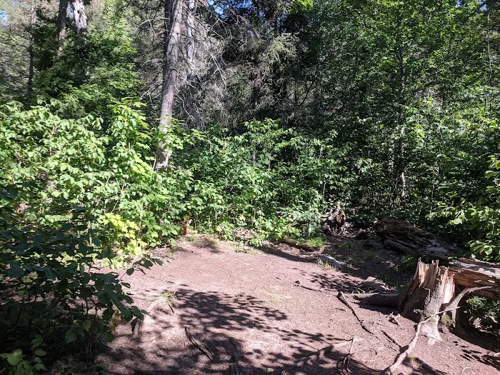 Horseshoe Ridge Camp Picture 6