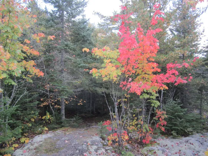 Horseshoe Ridge Camp Picture 5