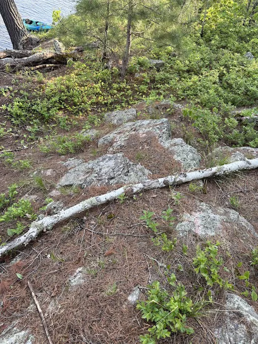 Superior National Forest Campsite #2120 Picture 3