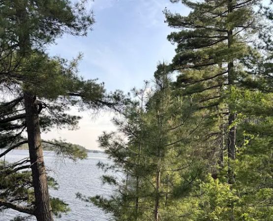 Superior National Forest Campsite #2120