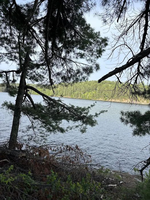Superior National Forest Campsite #2120 Picture 2