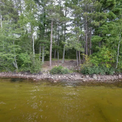 Sunset Bay Campsite USFS Picture 4