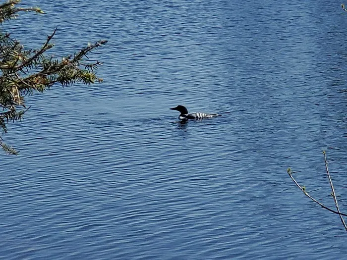 BWCA Campsite #1613 Picture 2