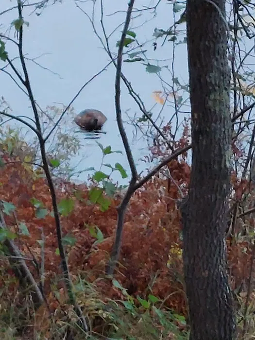 BWCA Campsite #1612 Picture 7