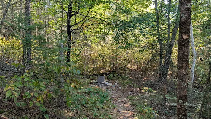 BWCA Campsite #1612 Picture 5