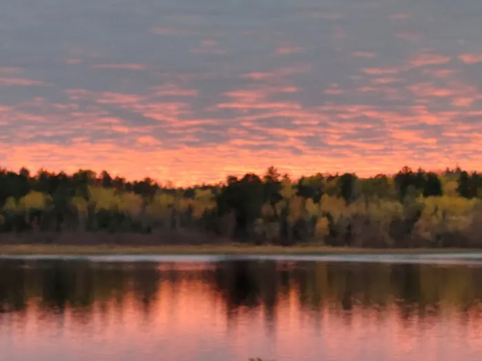 BWCA Campsite #1612 Picture 2
