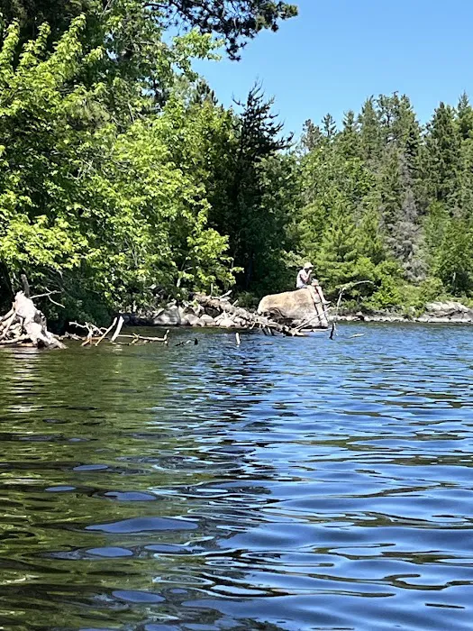 BWCA Campsite #1604 Picture 3