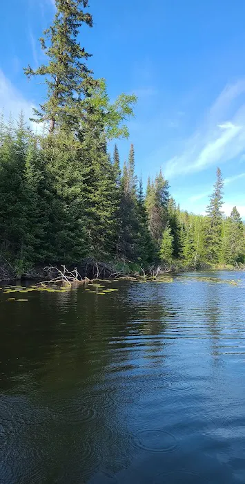 Canoe Country Cabins and Campground Picture 8