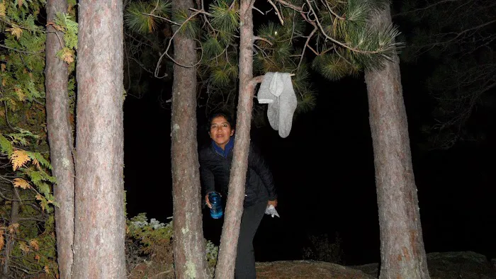 Moose Lake Landing Picture 1