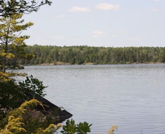 BWCA Campsite #1585