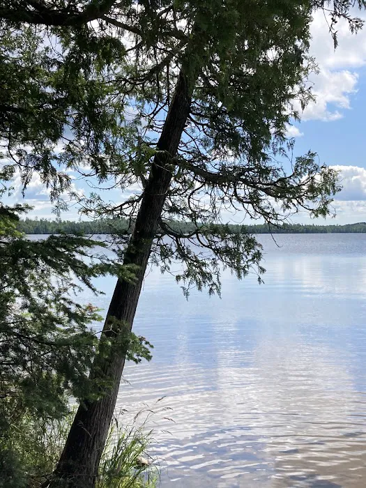 Whitefish Lake Rustic Campgd & Timber-Frear Area Picture 4