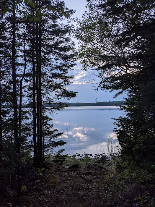 Fourmile Lk Rustic Campground & Backcountry Sites Picture 7