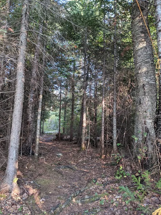 Fourmile Lk Rustic Campground & Backcountry Sites Picture 6