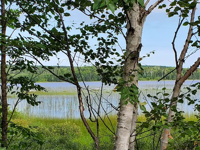 Toohey Lake Rustic Campground Picture 2