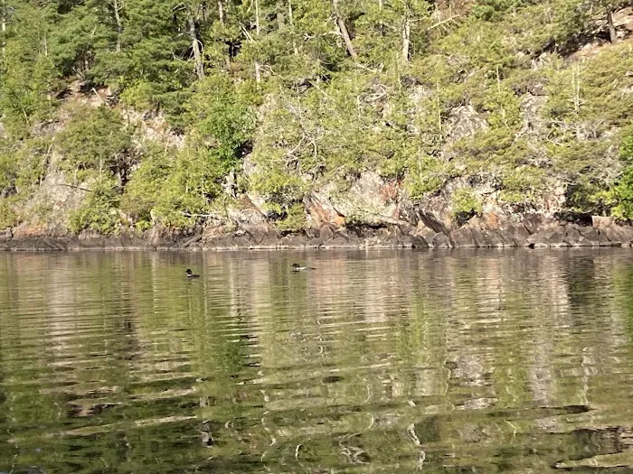 BWCA Campsite #1588 Picture 1