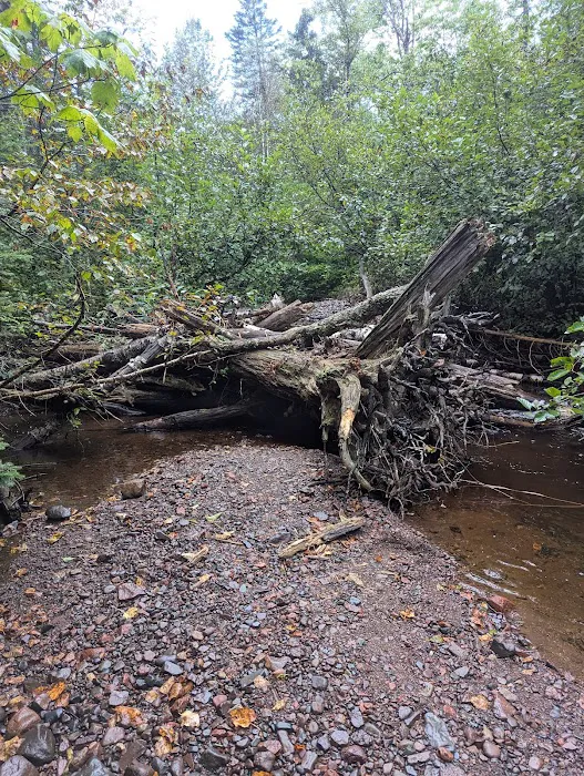 Dyers Creek Camp Picture 3