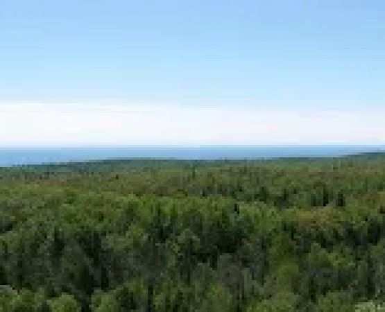 Fredenberg Creek Camp