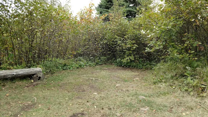 Sugarloaf Pond Camp Picture 7