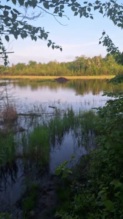 Sugarloaf Pond Camp Picture 6