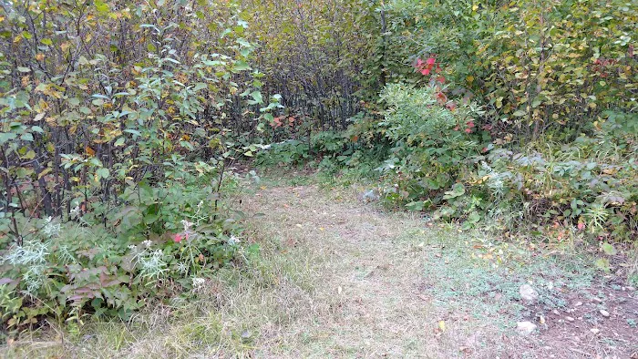 Sugarloaf Pond Camp Picture 3