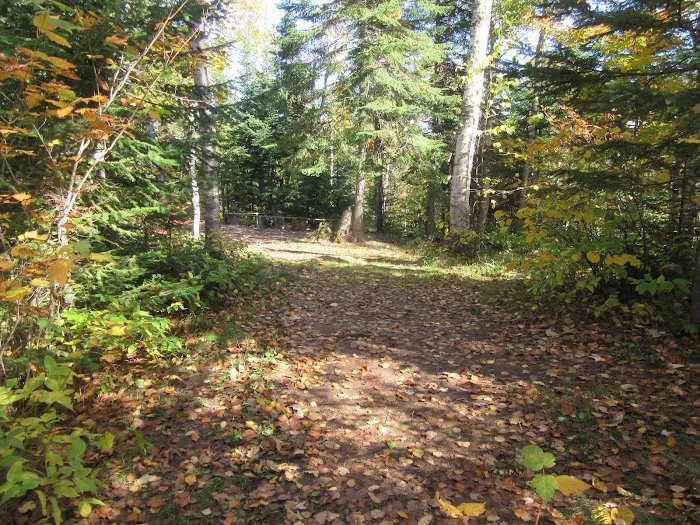 The Falls Camp Picture 3