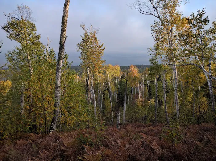 Crystal Creek Camp Picture 10