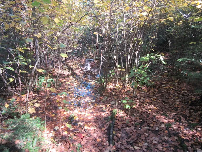 Ledge Camp Picture 4