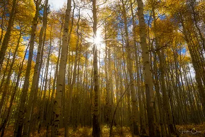 Johnson's Landing and Campground Picture 3