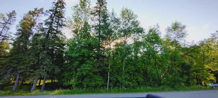 Pine Tree Park Municipal Campground Picture 3