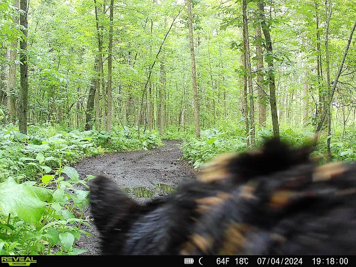 Bergamo Campground Picture 4