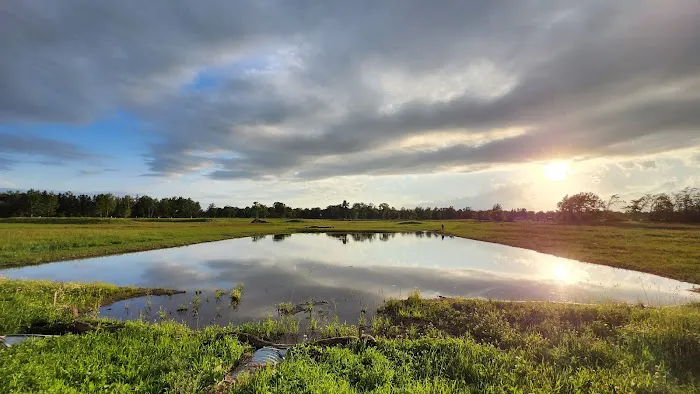 Bergamo Campground Picture 1