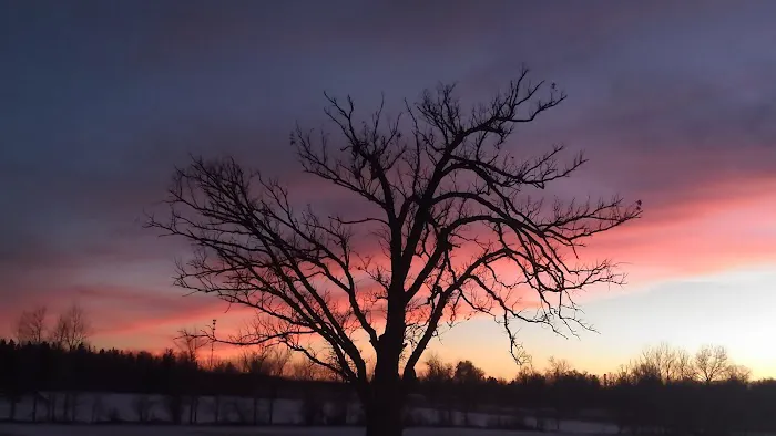 Bergamo Campground Picture 2