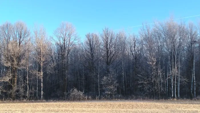 Bergamo Campground Picture 3