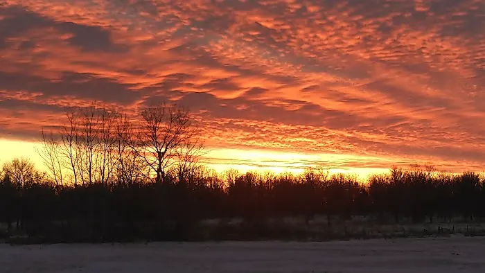 Bergamo Campground Picture 8