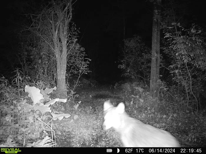 Bergamo Campground Picture 9