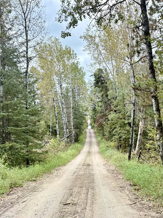 Pine Point Watercraft Campsite Picture 3