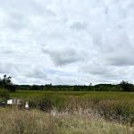 Pine Point Watercraft Campsite