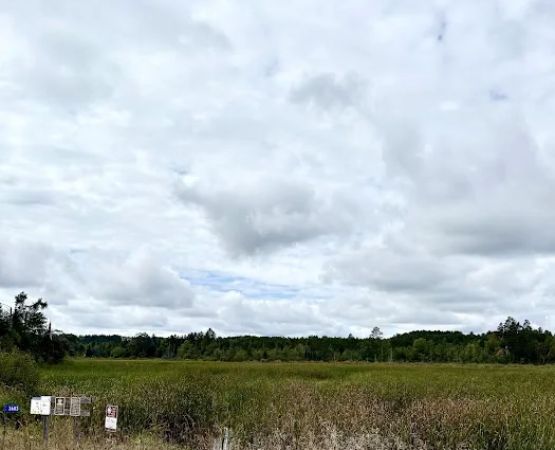 Pine Point Watercraft Campsite