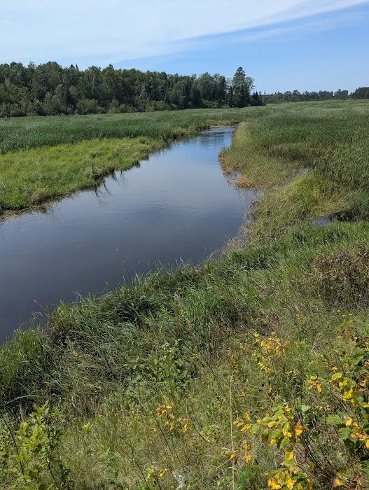 Fox Trap Watercraft Campsite Picture 4