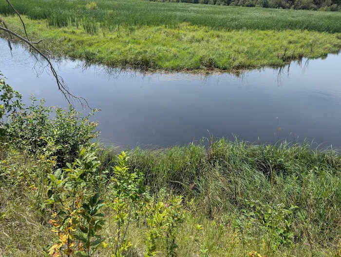 Fox Trap Watercraft Campsite Picture 2
